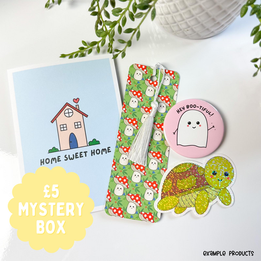 £5 Mystery Box